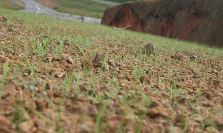 Hydroseeding - Lyon - Hydro-Land