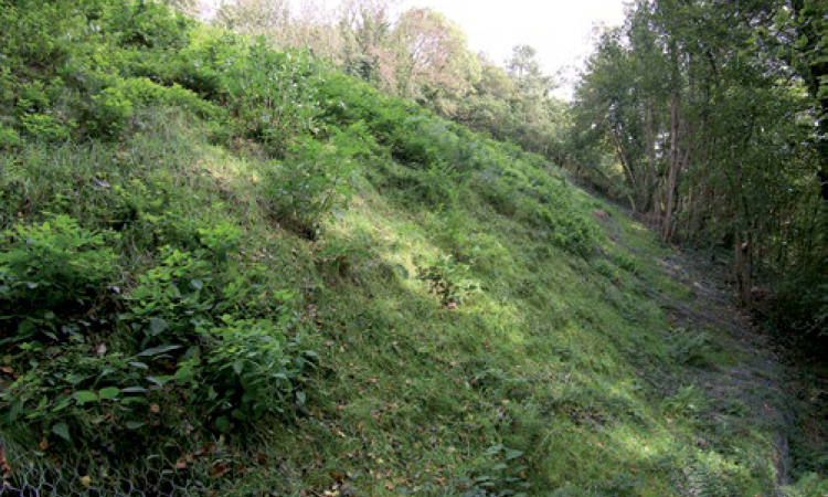 Stabiliser et végétaliser les sols - Lyon - Hydro-Land